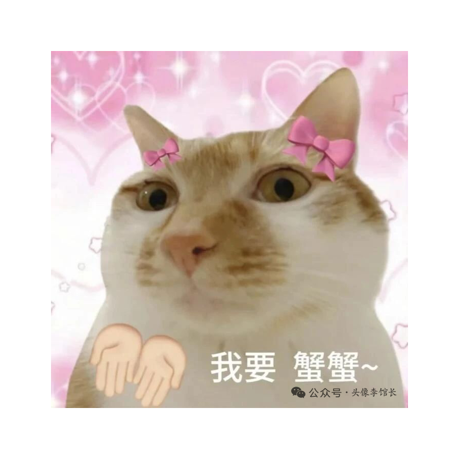 喵～