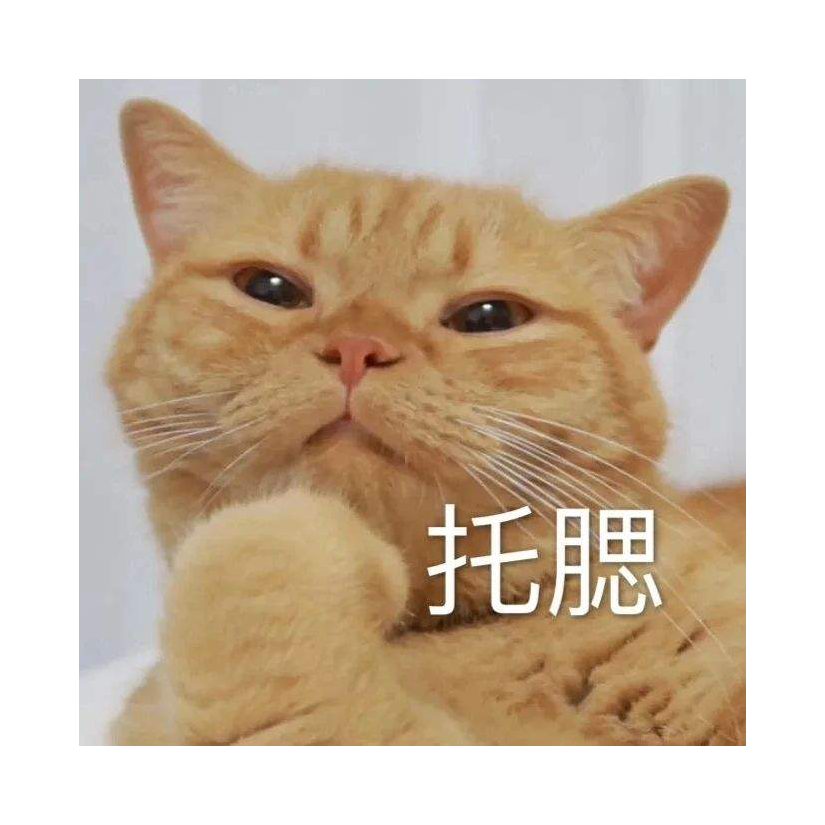 请务必炫我嘴里