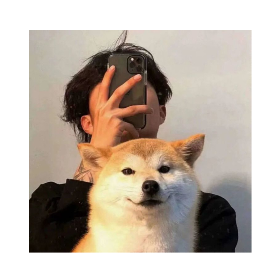 山中有木