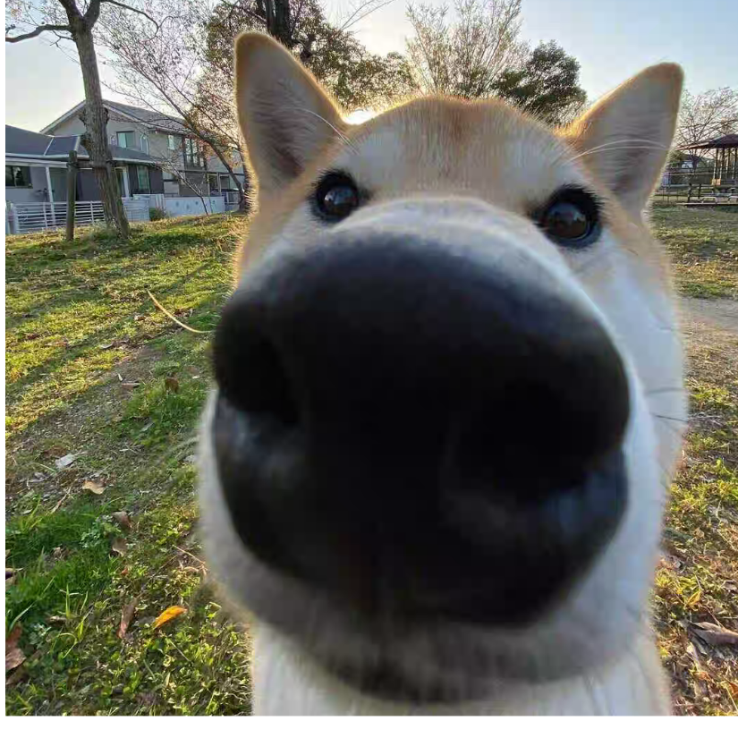 圥忈。