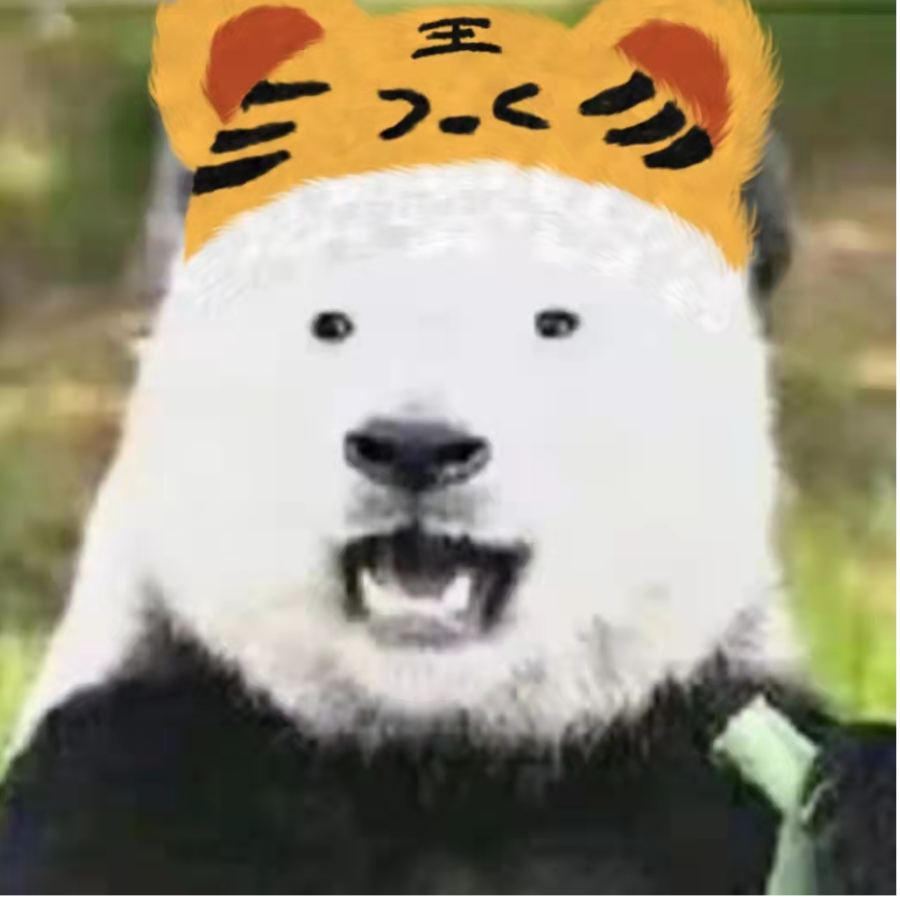 从不熬夜的熊猫