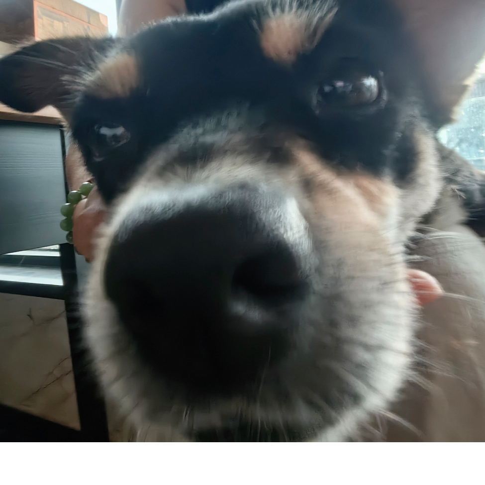 ttttttt