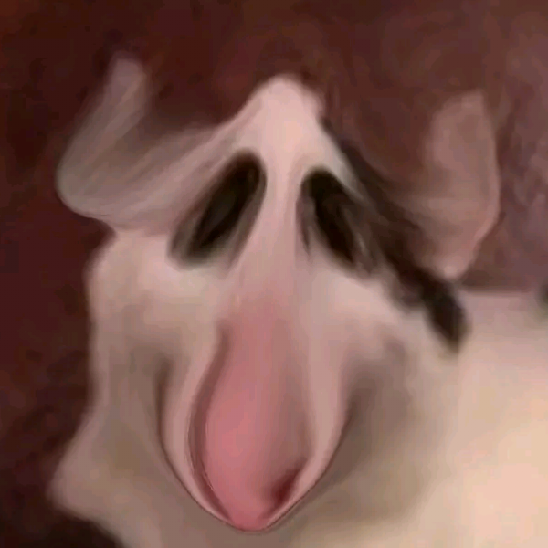 你你你