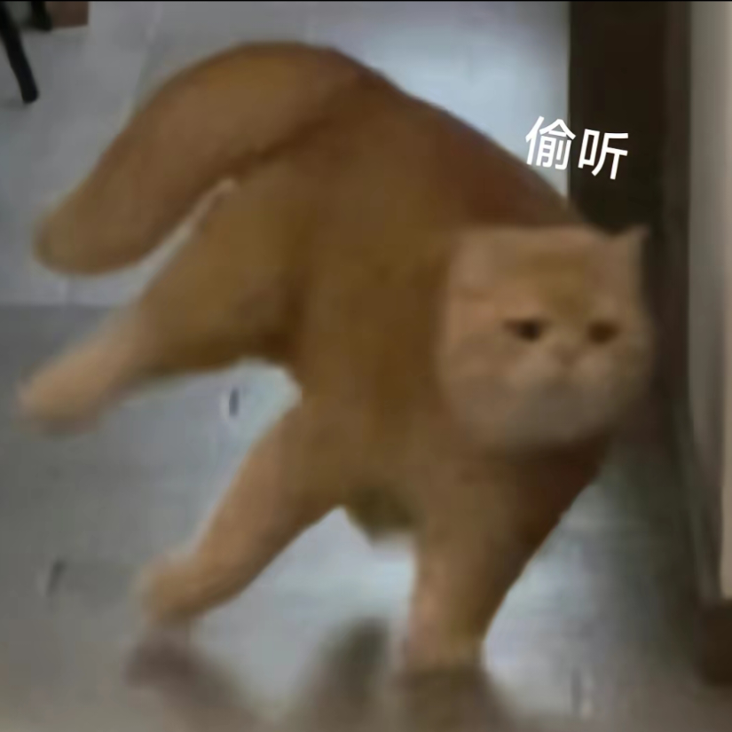 箖珏