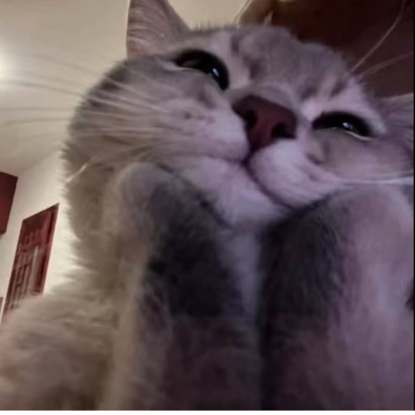 泷泷