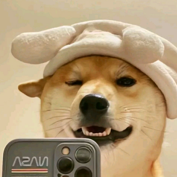 回不去了