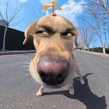 某个家伙