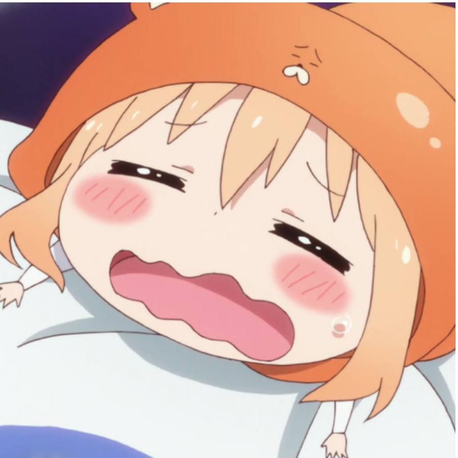 梦见猫