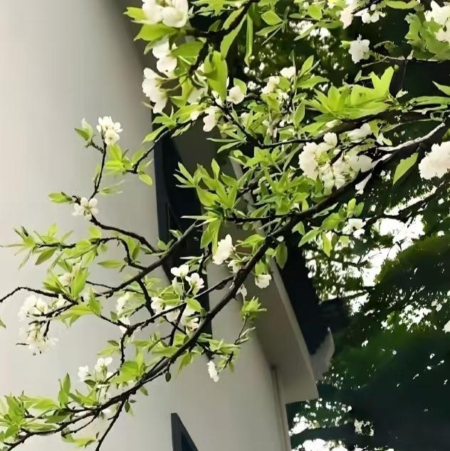 末画