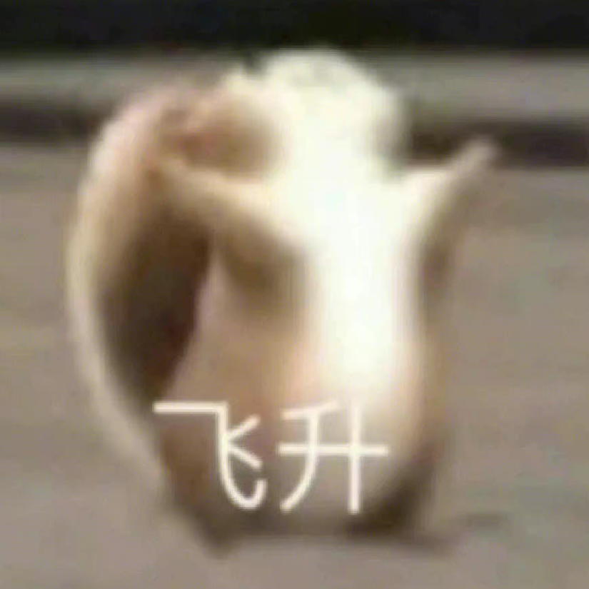 梁玄黎