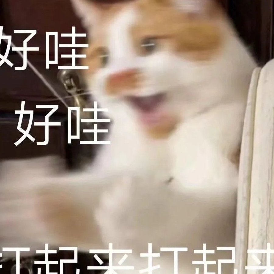 猫子不胖