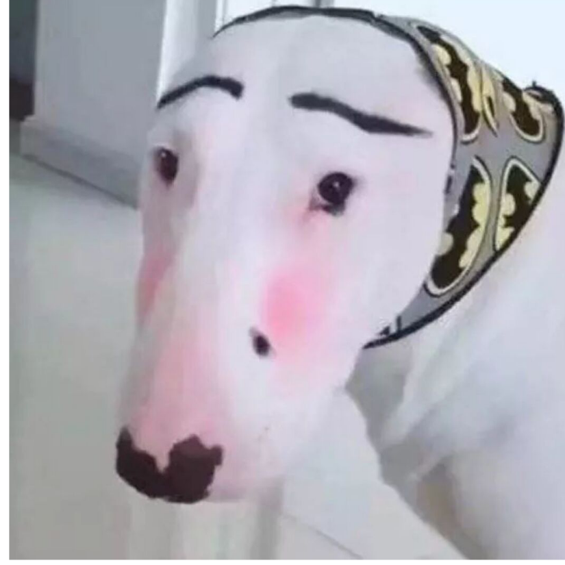 猛子