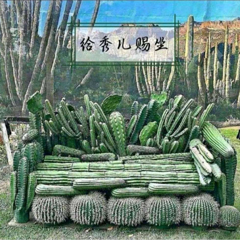 烟斗