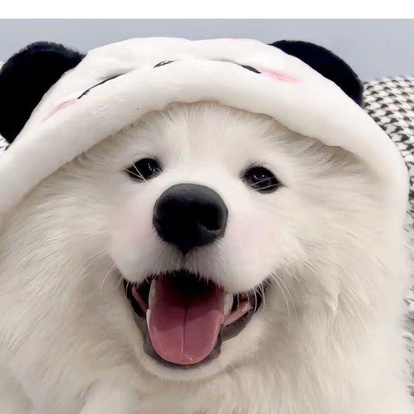 玲