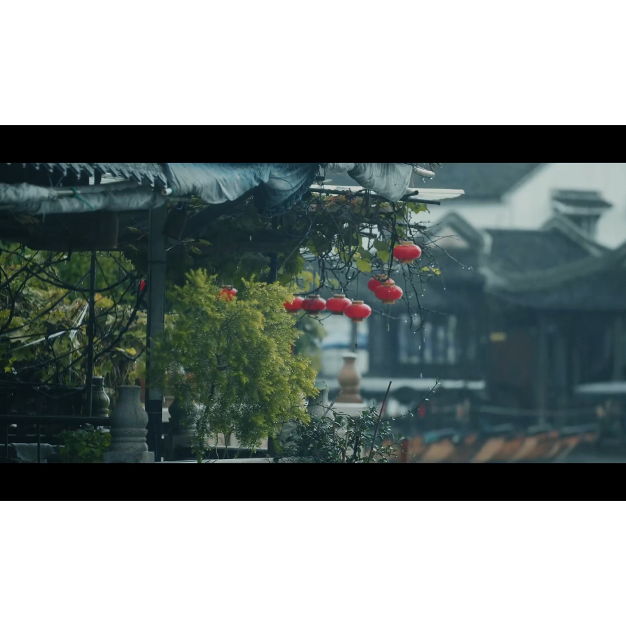 长生久视