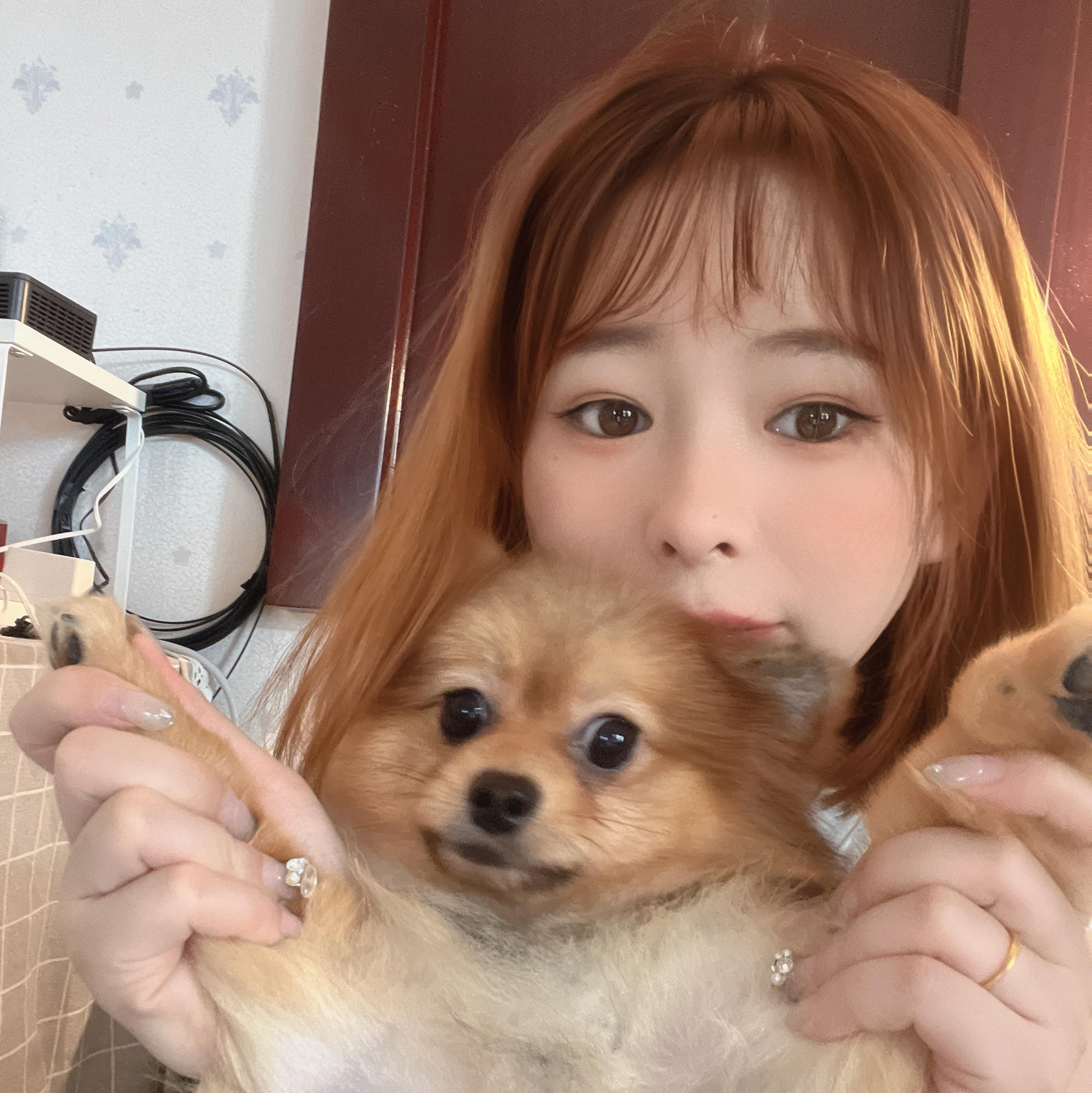 无人能敌的布布