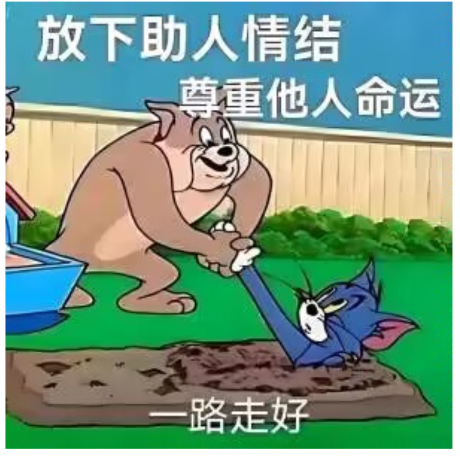 有节操的面条