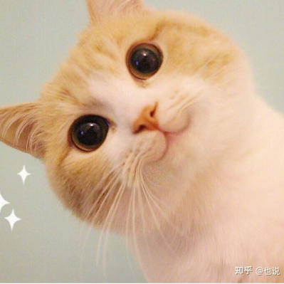 再续