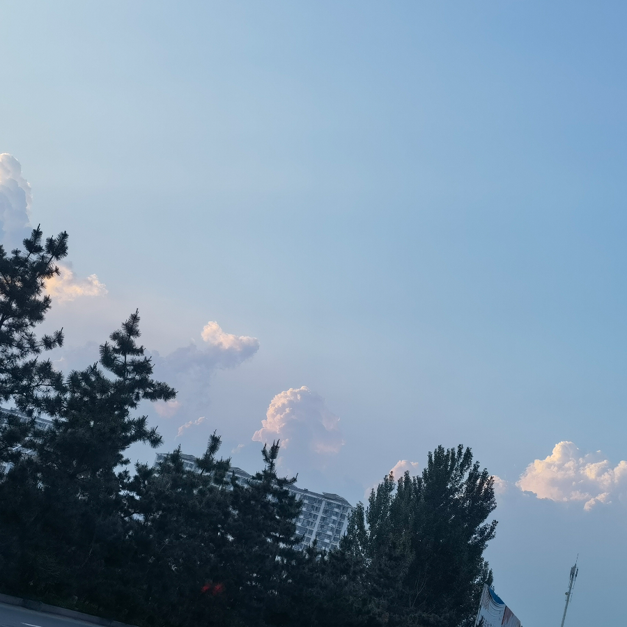 酱酱酱
