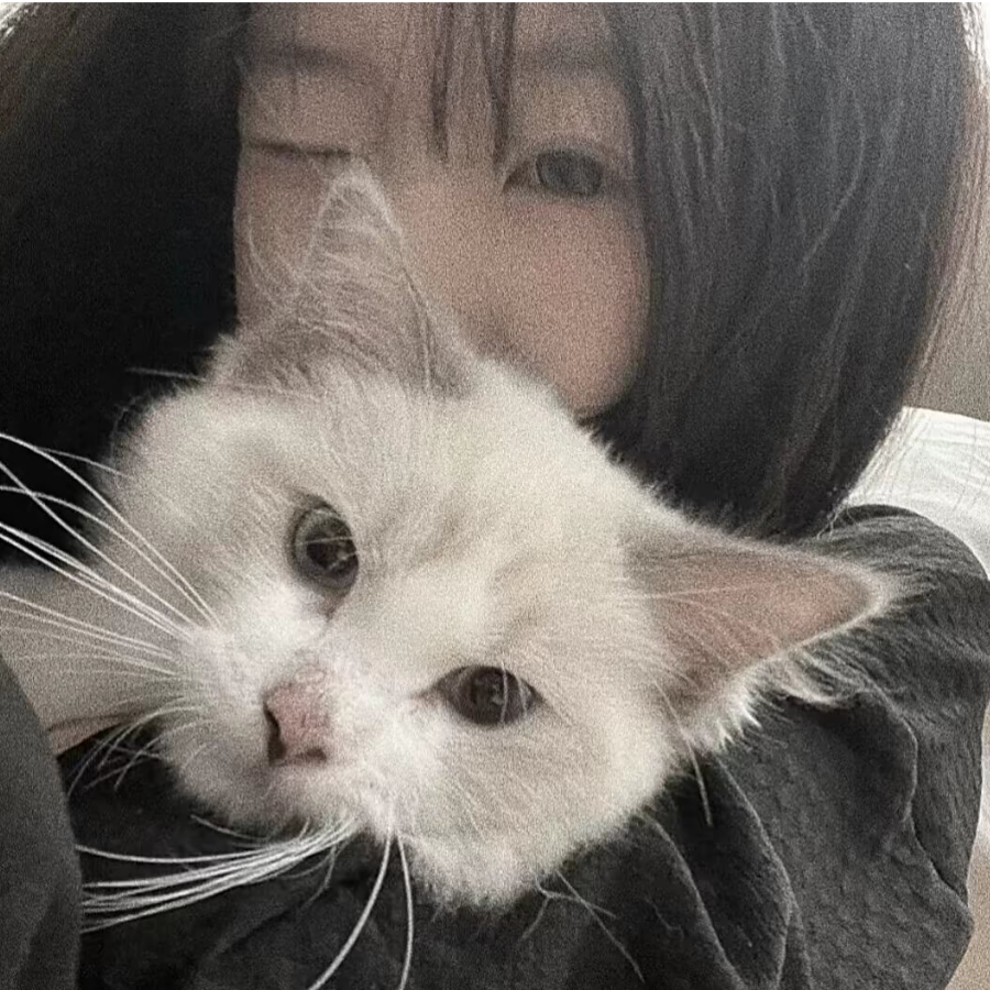 洛璃