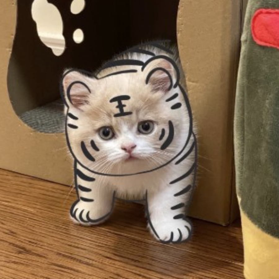 猪圈香不香
