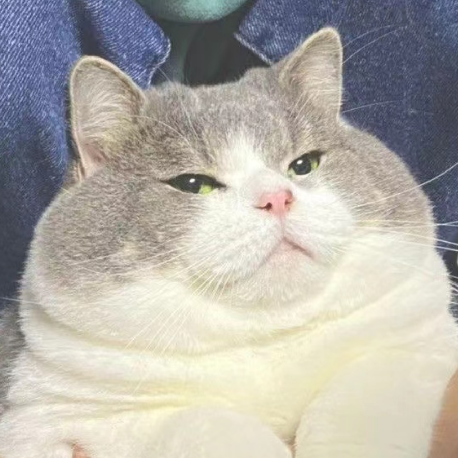 淋登