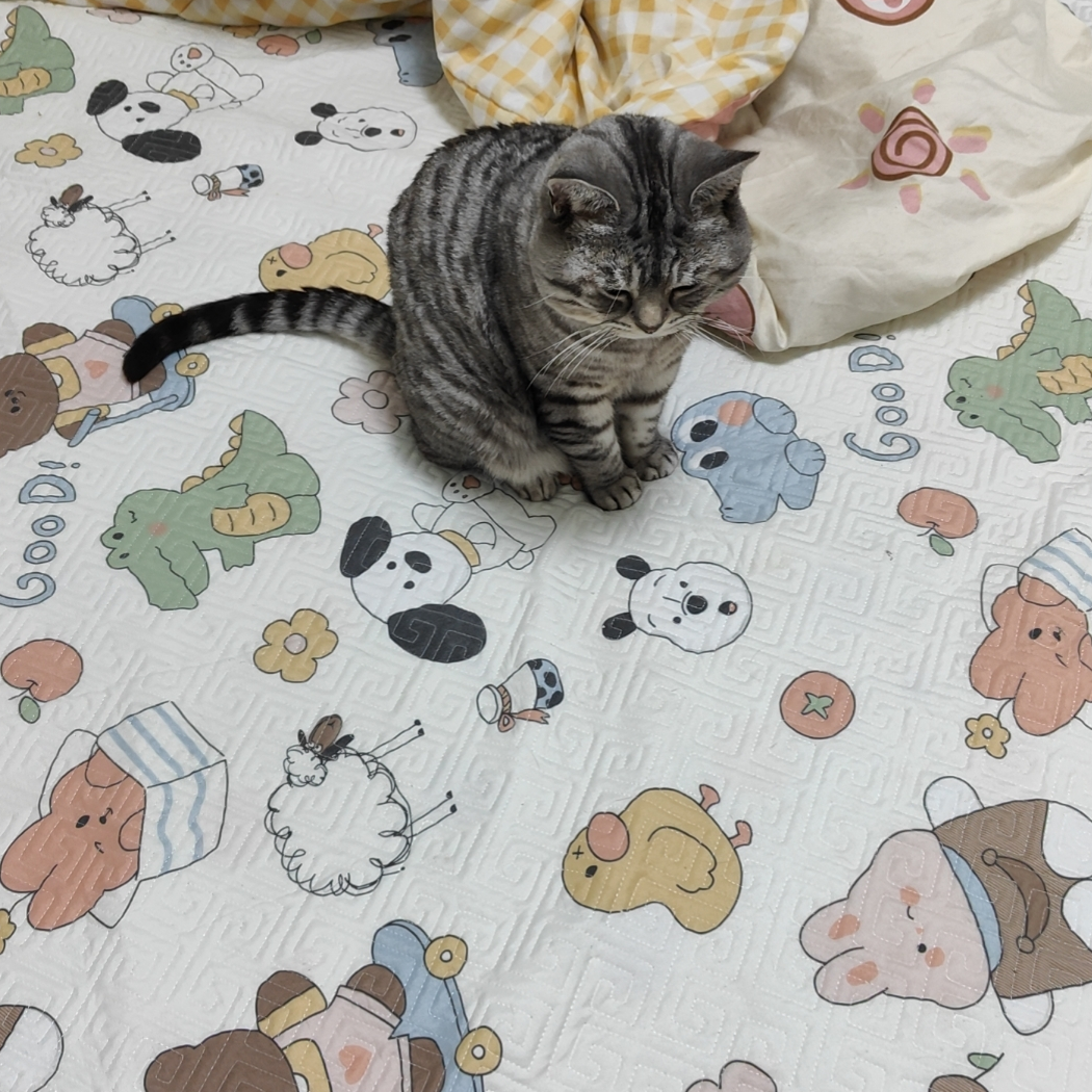 阿迟。