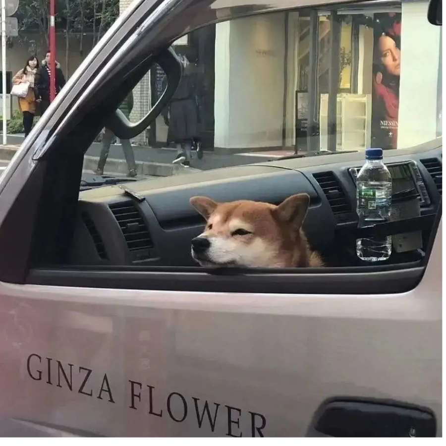 核桃