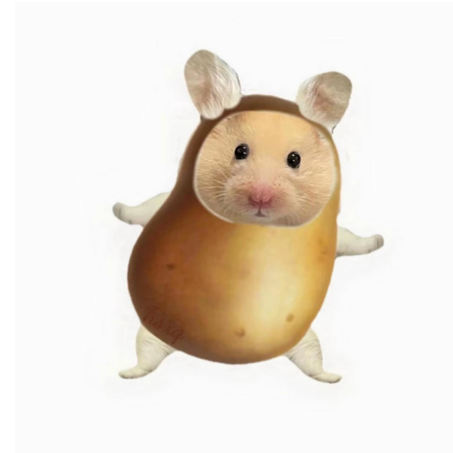 搞怪最美人