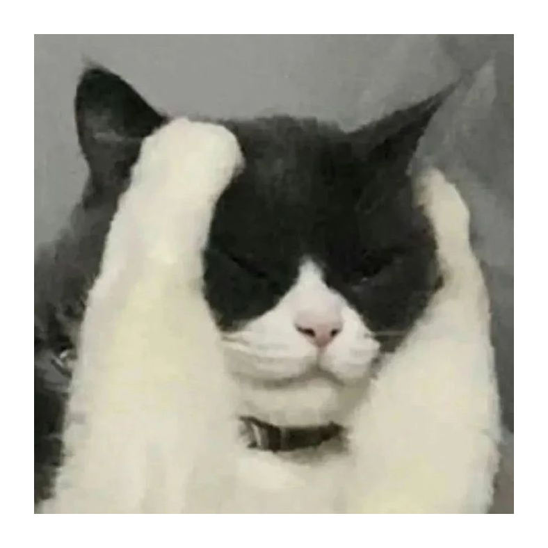 兔7