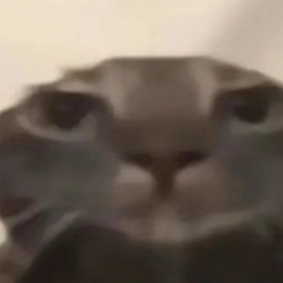 Mocha不爱喝摩卡