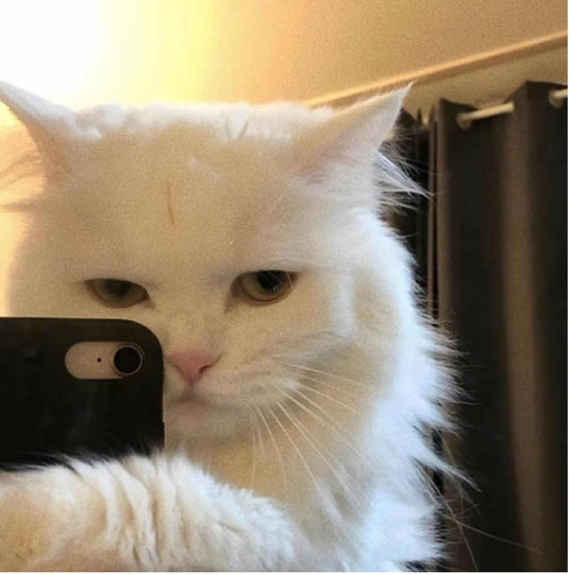 啊啾