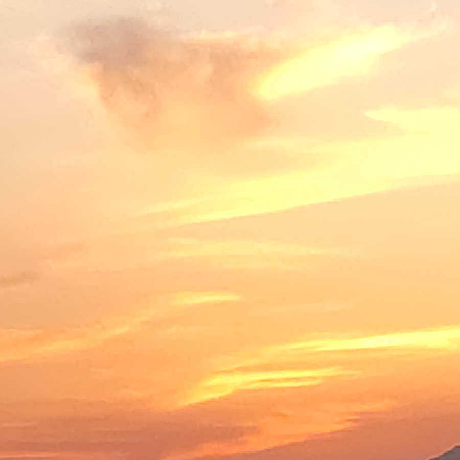 言辞.