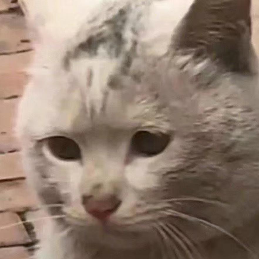 揍揍