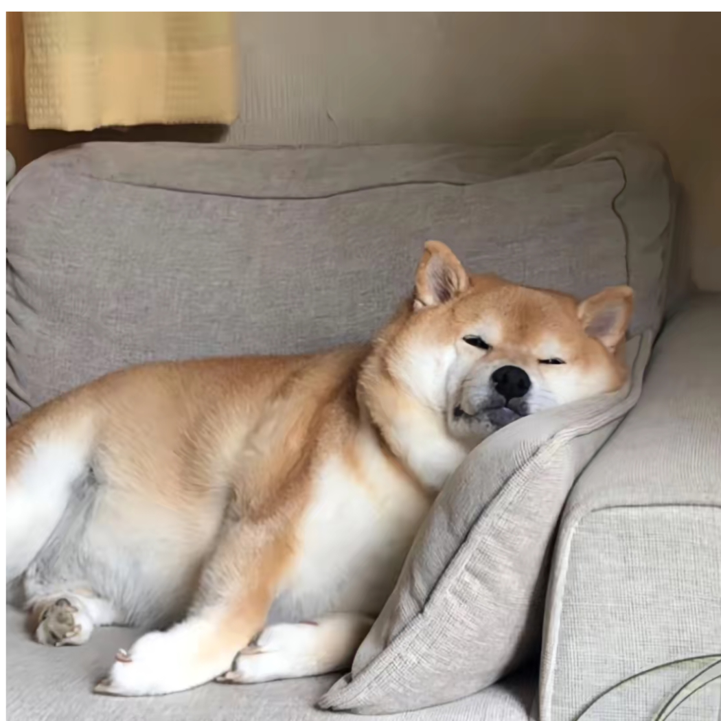 慢慢来