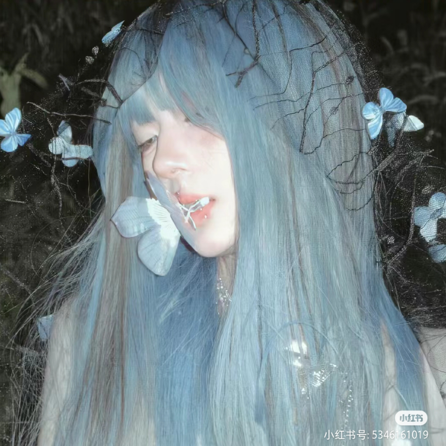 蝶恋花