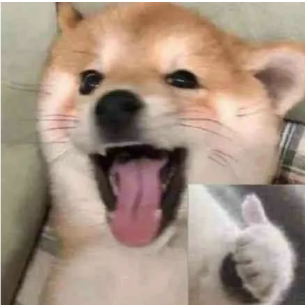   奇发