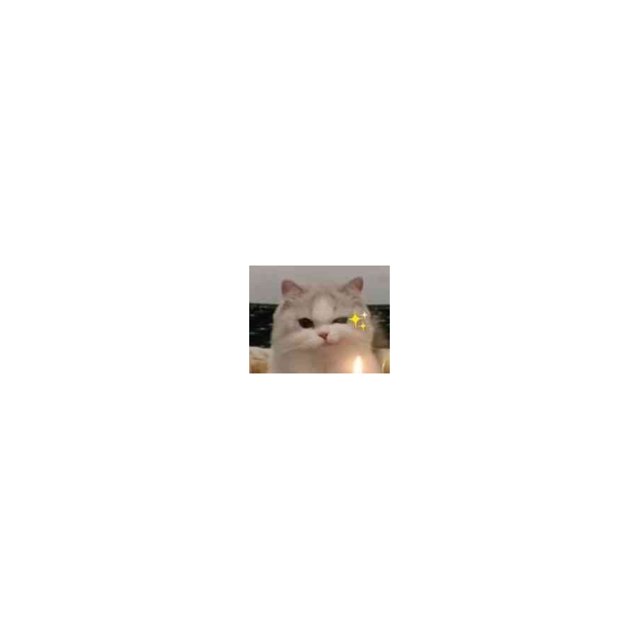 阿狸