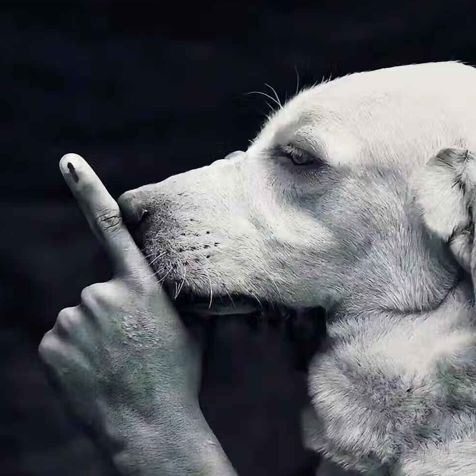 。。。