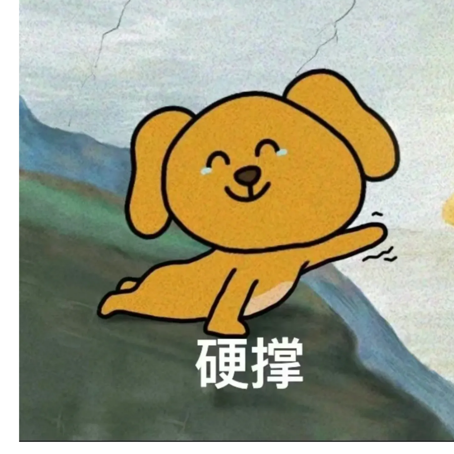 陈皮很皮橘子皮