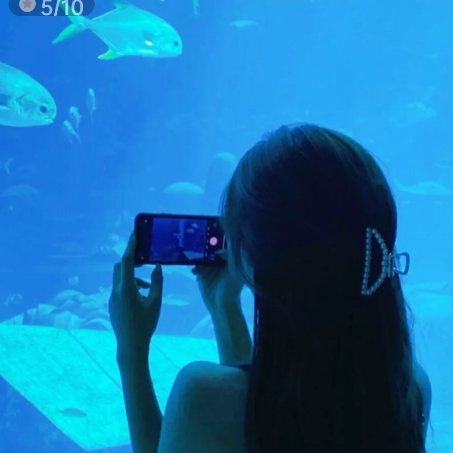 我美丽的海