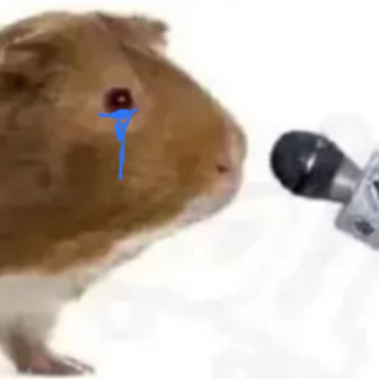 阵孒