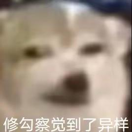 火狐狸