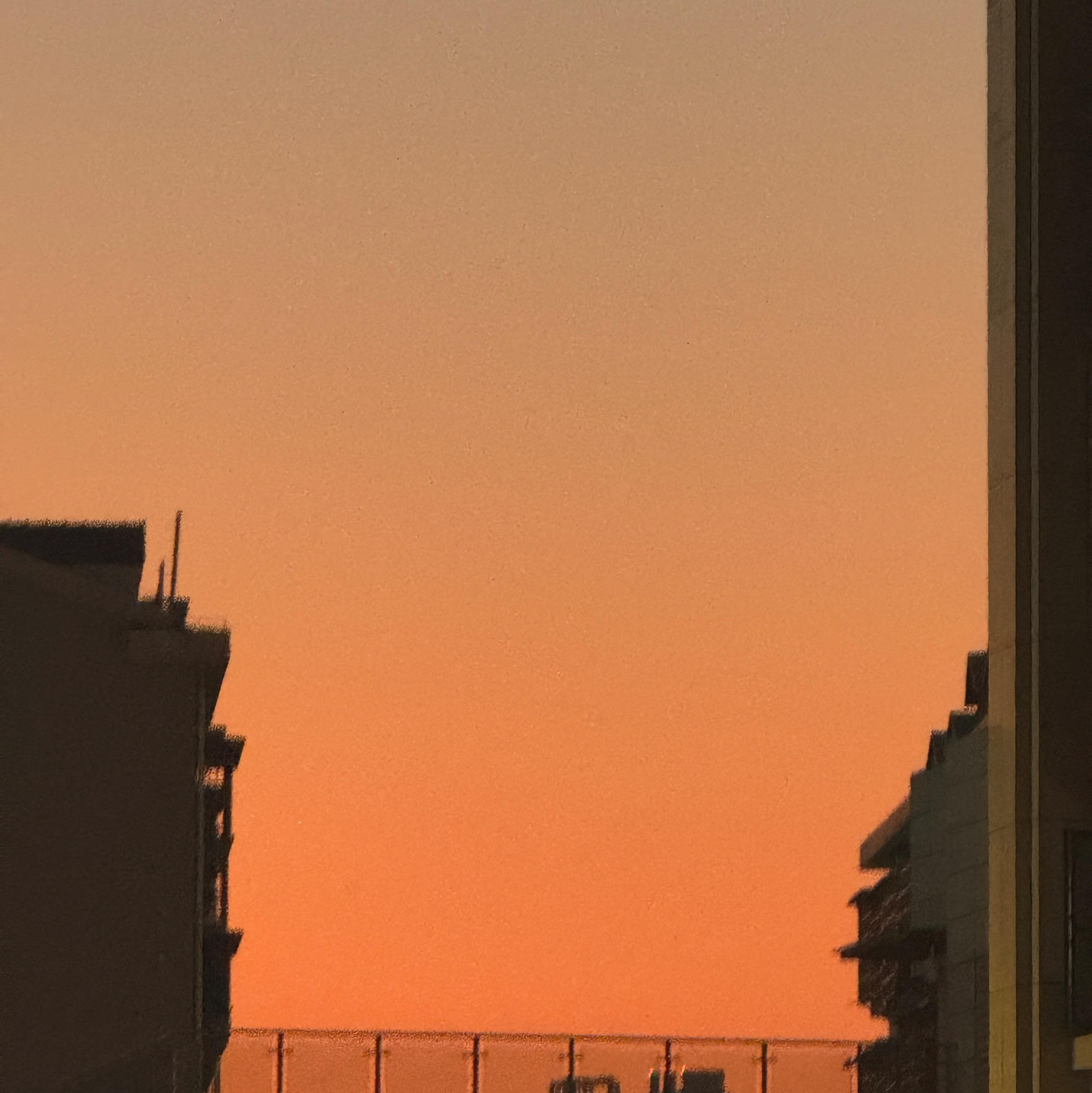 黄狮虎