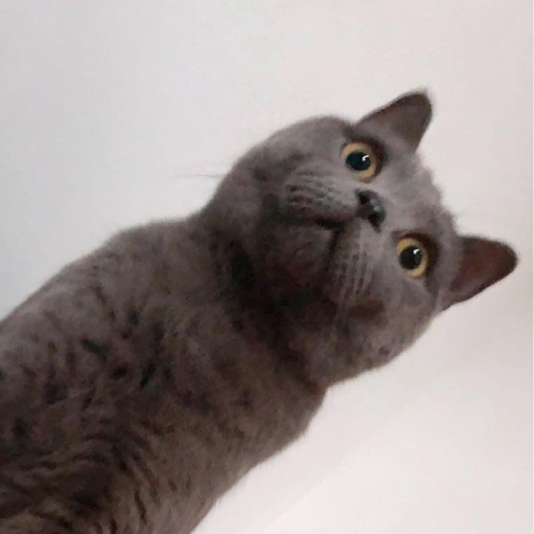 深情秋刀鱼