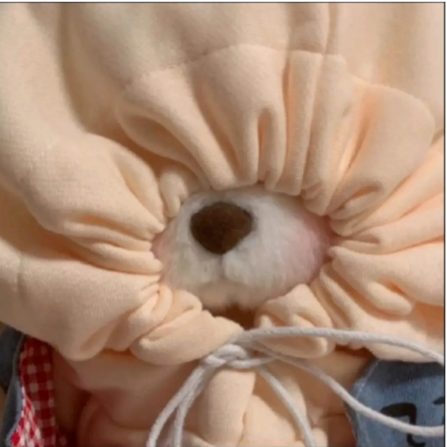 艾比