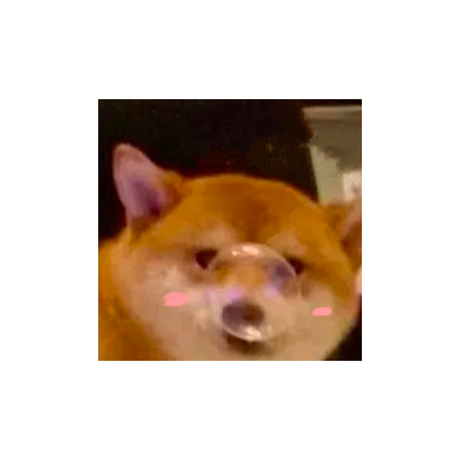不再肝