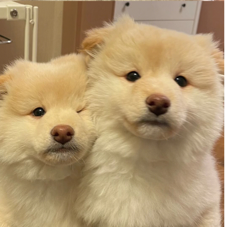 小汤.