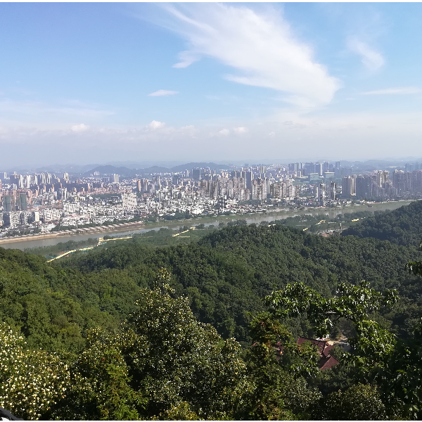 绝地伏地狙神