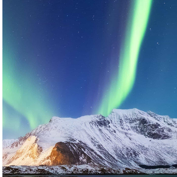 景